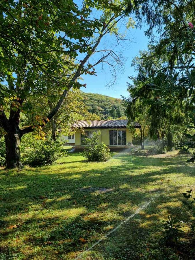 Fuk-Tak'S Bungalow Dojran Exteriör bild